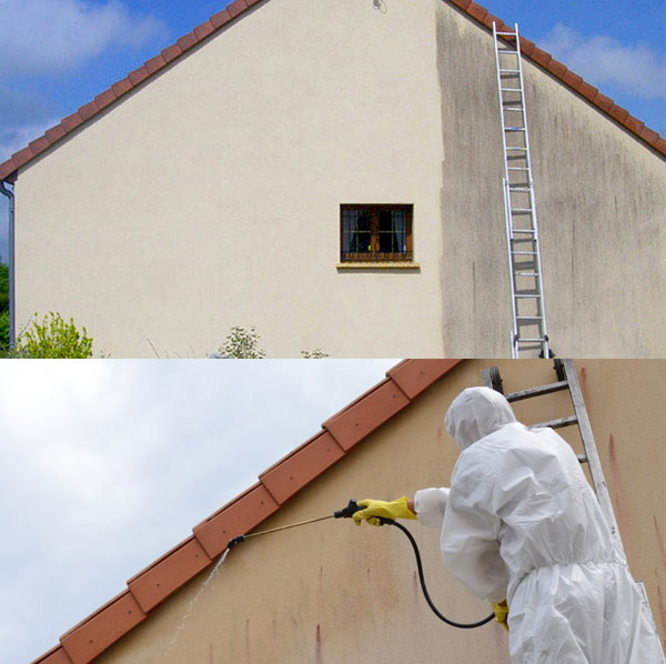 Peinture - PÉRIOCHERÉNOV 06 Peintre dans les Alpes-Maritimes (06) et le Var (83) . Nettoyage, traitement anti-mousse, ravalement peinture et imperméabilisation façade.